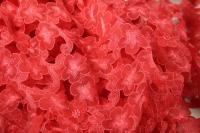 ткань Красная органза с фактурными цветами (нашитыми цветами)