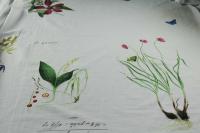 ткань батист с ботаническим принтом