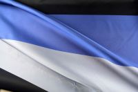 ткань дюшес в полоску Италия