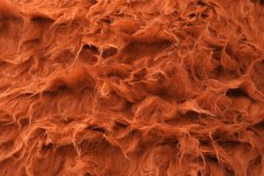 ткань беби альпака с шерстью и полиэстером рыжего цвета Италия