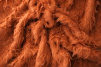 ткань беби альпака с шерстью и полиэстером рыжего цвета 