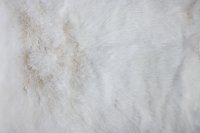 ткань искусственный белый мех с длинным ворсом