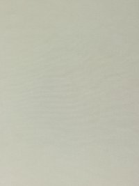ткань трикотаж молочный (кремовый)